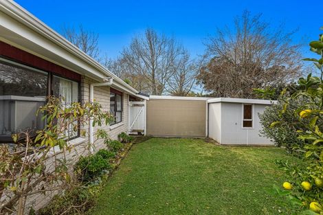 Photo of property in 56 Garaway Street, Whakatane, 3120