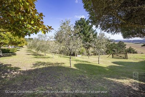 Photo of property in 849 Old North Road, Waimauku, 0882
