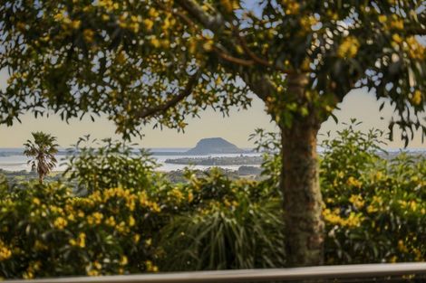 Photo of property in 20 Dawn View Place, Minden, Tauranga, 3176