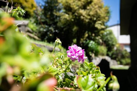 Photo of property in 72 Churton Drive, Churton Park, Wellington, 6037