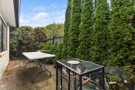 Photo of property in 55u4 Fifth Avenue, Enderley, Hamilton, 3214