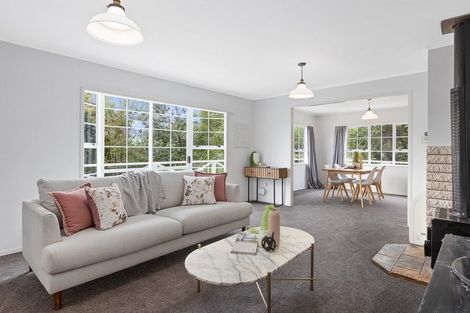 Photo of property in 21 Coquette Street, Warkworth, 0910