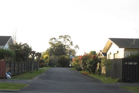 Photo of property in 117a Clarkin Road, Fairfield, Hamilton, 3214