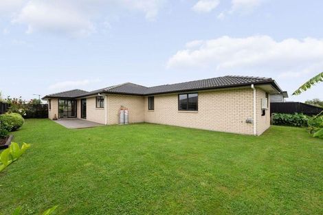 Photo of property in 31 Lulu Avenue, Chartwell, Hamilton, 3210