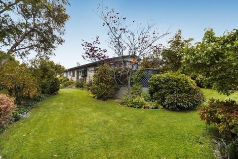 Photo of property in 1 Donegal Street, Cromwell, 9310