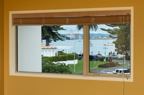 Photo of property in 7 Commons Avenue, Mount Maunganui, 3116