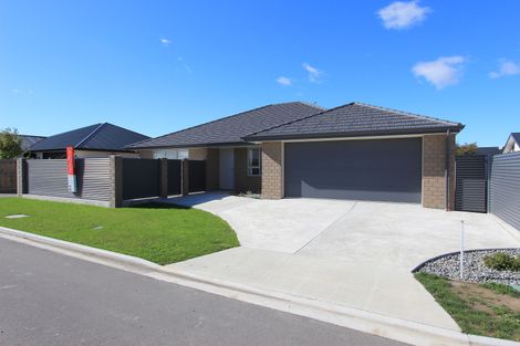 Photo of property in 29 Camborne Crescent, Blenheim, 7201