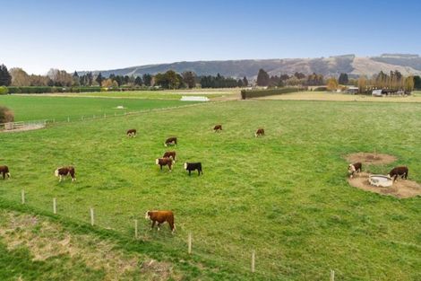 Photo of property in 101 Dukes Road North, Mosgiel, 9092