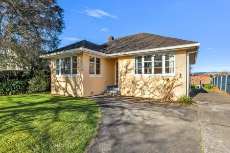 Photo of property in 616 Featherston Street, Roslyn, Palmerston North, 4414