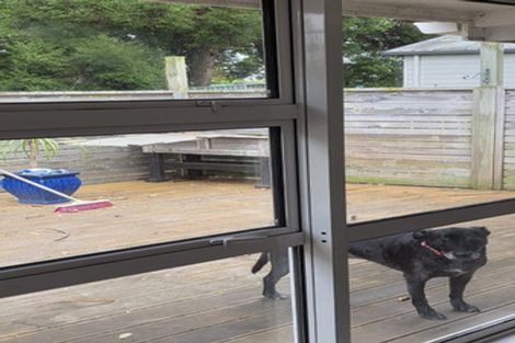 Photo of property in 17 Dewhurst Place, Favona, Auckland, 2024