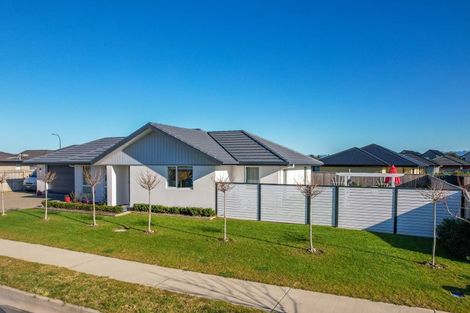 Photo of property in 7 Borck Avenue, Appleby, Richmond, 7020