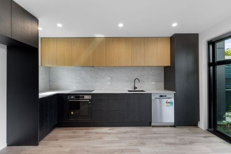 Photo of property in 48 Winton Street, St Albans, Christchurch, 8014