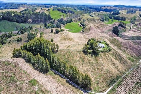 Photo of property in 222 Rendall Road, Rotoma, Whakatane, 3194