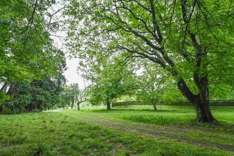 Photo of property in 4883 State Highway 2, Putorino, Kotemaori, 4181