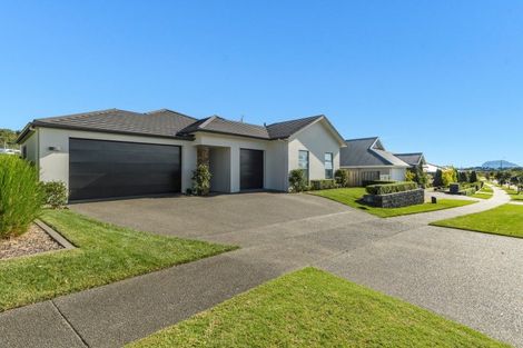 Photo of property in 39 Glenpark Crescent, Bethlehem, Tauranga, 3110
