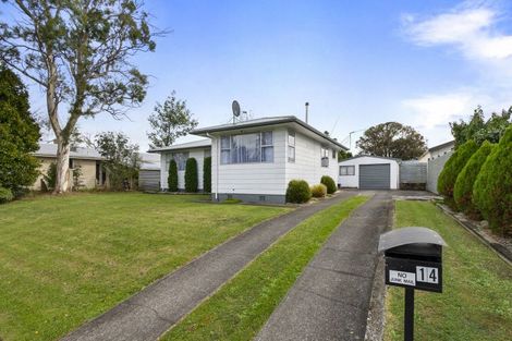 Photo of property in 14 Dampier Avenue, Awapuni, Palmerston North, 4412