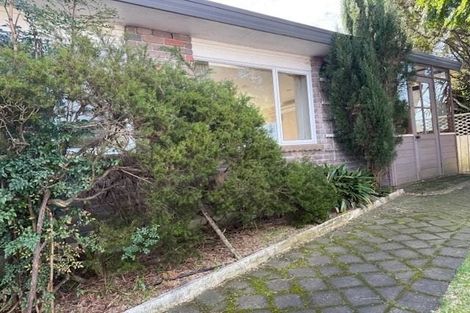 Photo of property in 737a Cameron Road, Tauranga South, Tauranga, 3112