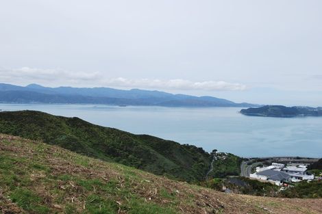 Photo of property in 11 Grumman Lane, Newlands, Wellington, 6037