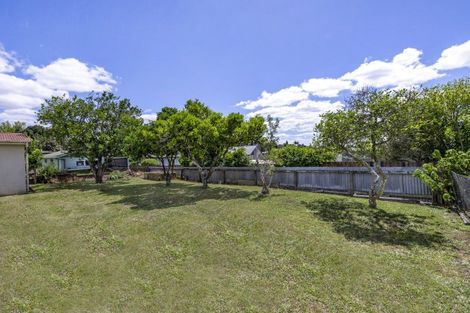 Photo of property in 240 Saint Marys Avenue, Te Awamutu, 3800