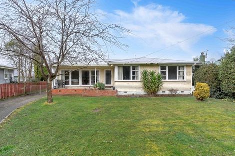 Photo of property in 19 Solway Crescent, Solway, Masterton, 5810