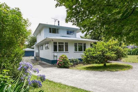 Photo of property in 21 Tanner Street, Havelock North, 4130