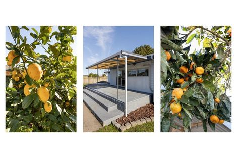 Photo of property in 62 Arawa Road, Whakatane, 3120