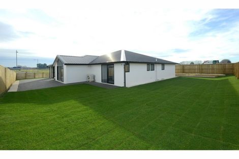 Photo of property in 38 Sarikei Avenue, Northwood, Christchurch, 8051