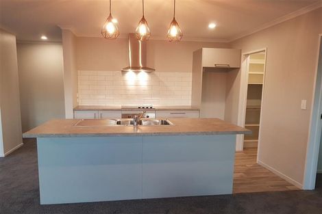 Photo of property in 9 Bonecrusher Street, Lincoln, 7608