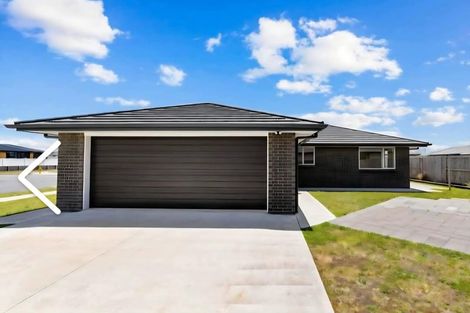 Photo of property in 12 Saint Michaels Crescent, Kelburn, Wellington, 6012