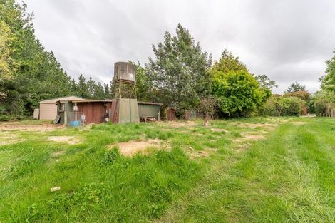 Photo of property in 52 Levels Plain Road, Levels, Timaru, 7975