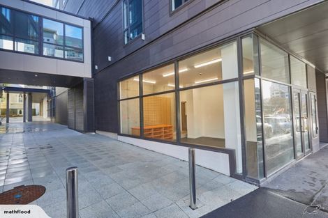 Photo of property in Vsp Nothern Tower, 166c1 Victoria Street, Te Aro, Wellington, 6011