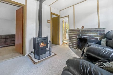 Photo of property in 42 Leven Street, Naseby, 9396