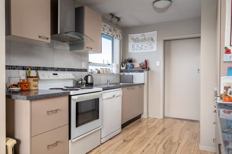 Photo of property in 45 Ashworth Street, Alexandra, 9320