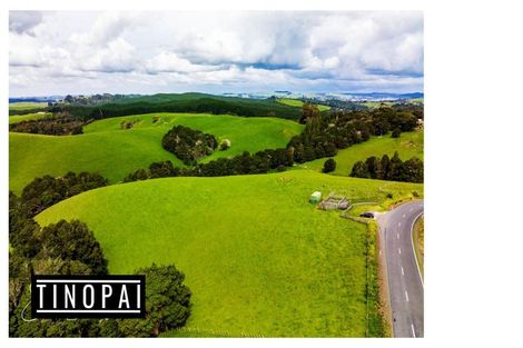 Photo of property in 1509 Tinopai Road, Tinopai, Matakohe, 0593