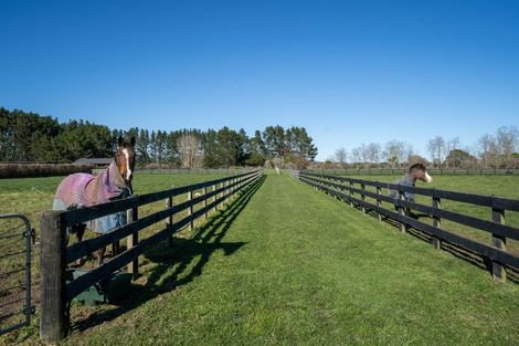 Photo of property in 146 French Pass Road, Cambridge, 3496