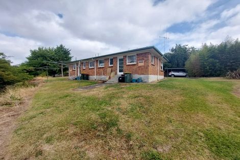 Photo of property in 48 Urlich Avenue, Melville, Hamilton, 3206