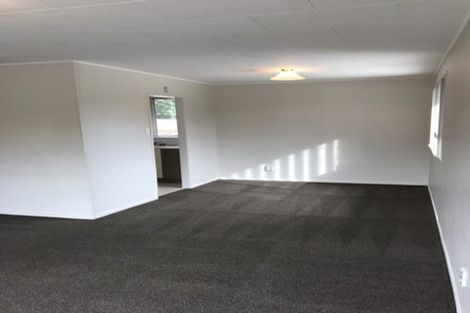 Photo of property in 74 John Walker Drive, Manurewa, Auckland, 2102