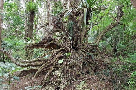 Photo of property in 42b Dutton Road, Peria, Kaitaia, 0482
