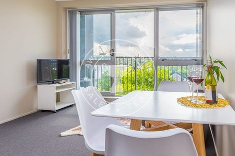 Photo of property in 53 Cook Street, Hamilton East, Hamilton, 3216