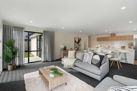 Photo of property in 45 Ed Hillary Drive, Rolleston, 7615