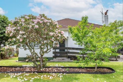 Photo of property in 18 Hannan Street, Levin, 5510