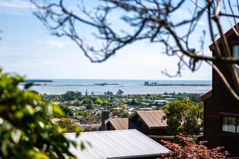 Photo of property in 39 Kihilla Road, Richmond, 7020