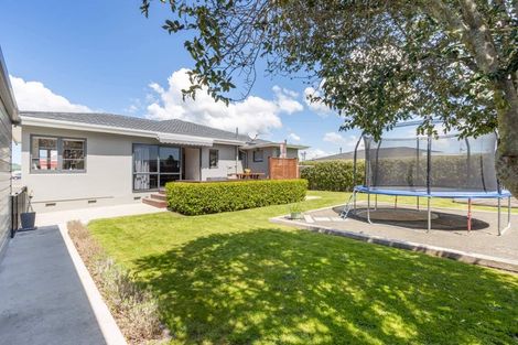 Photo of property in 501 Maraekakaho Road, Camberley, Hastings, 4120