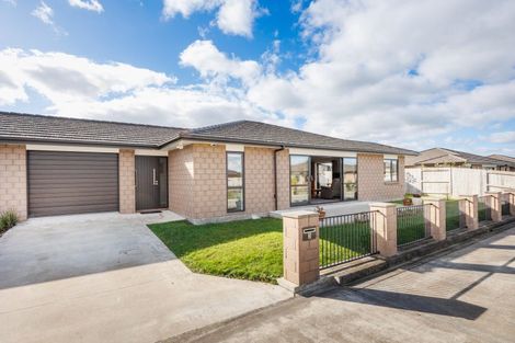 Photo of property in 3 Towler Lane, Feilding, 4702