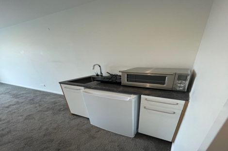 Photo of property in Vsp South, 301/168u Victoria Street, Te Aro, Wellington, 6011