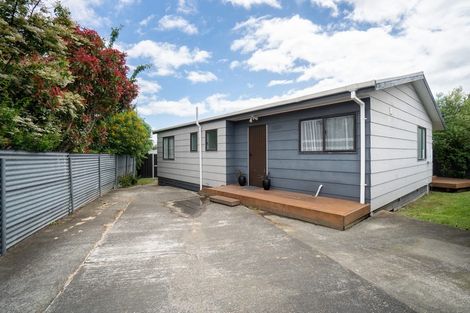 Photo of property in 22b Manchester Street, Takaro, Palmerston North, 4412
