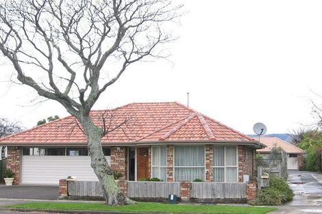 Photo of property in 50 Pahiatua Street, Hokowhitu, Palmerston North, 4410
