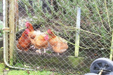 Photo of property in 64 Kaniere Road, Hokitika, 7811