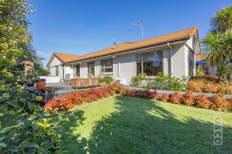 Photo of property in 19 Solan Drive, Waimauku, 0812