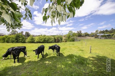 Photo of property in 166 Rimmer Road, Helensville, 0875